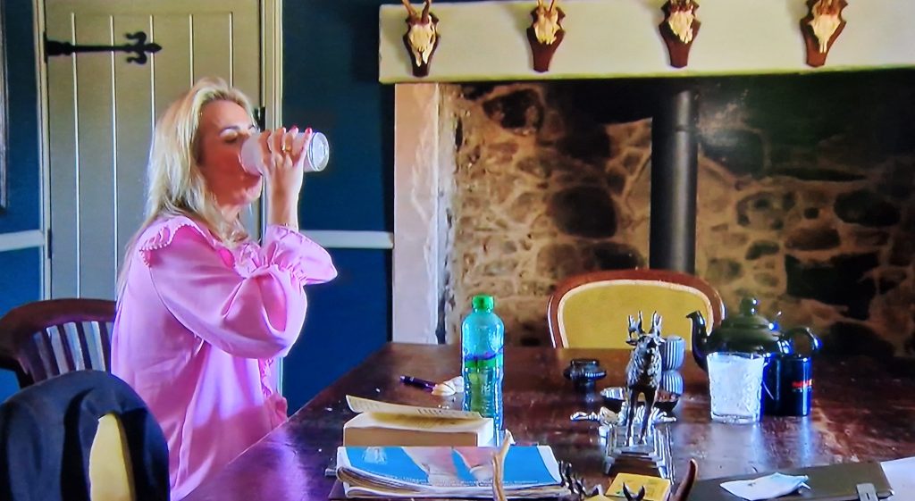 B&B Vol Liefde - samenvatting Rick Evers