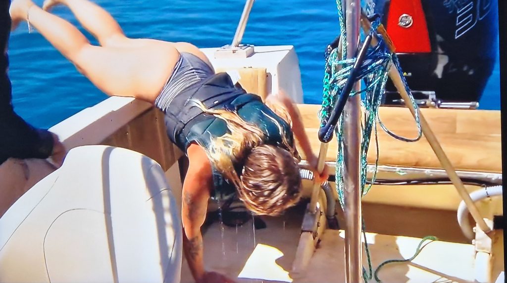 B&B Vol Liefde - samenvatting Rick Evers