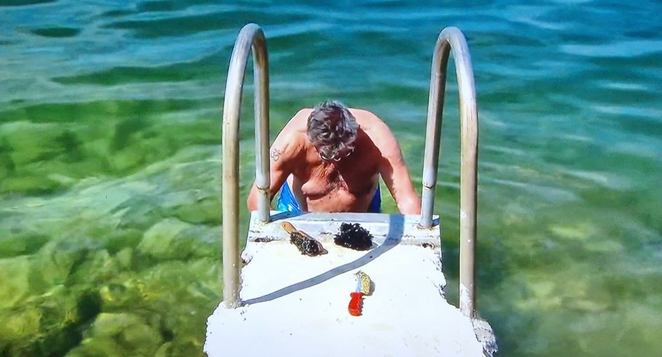 B&B Vol Liefde - samenvatting Rick Evers