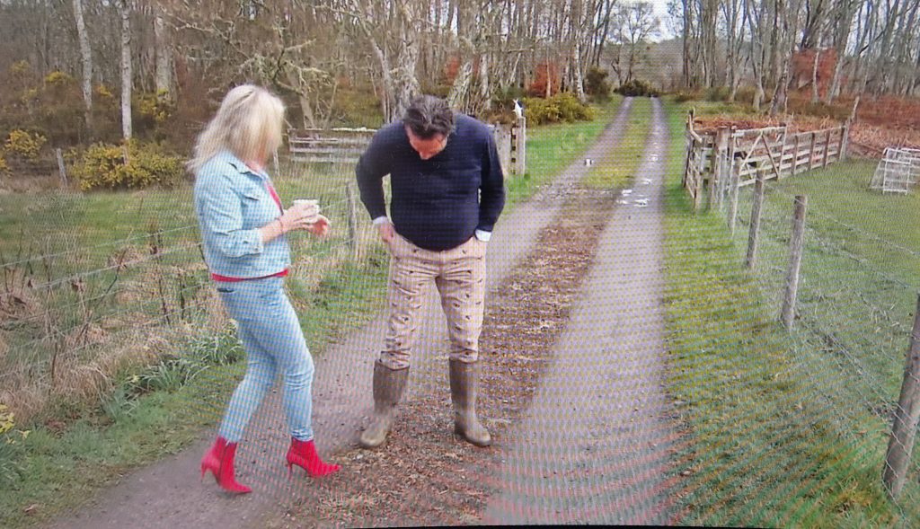 B&B Vol Liefde - samenvatting Rick Evers