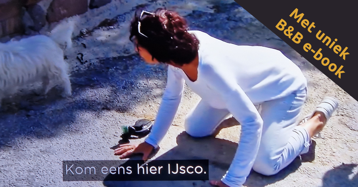 Ingrid op de grond met de hondjes