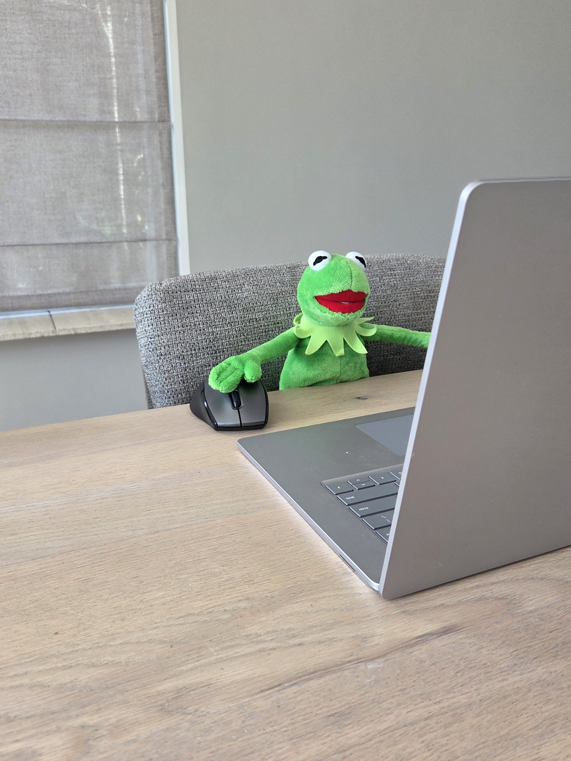 Kermit de Kikker zit achter de laptop